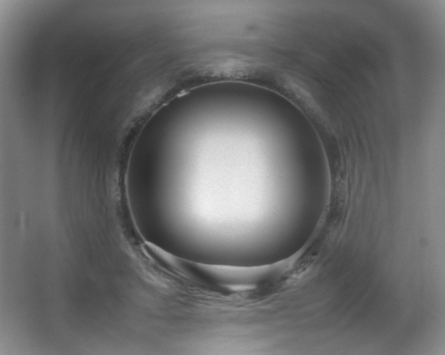 X0000067500403200604071231