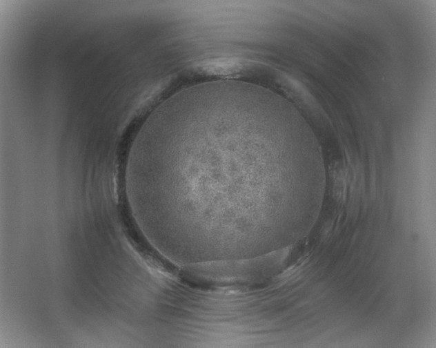 X0000067500404200604071231