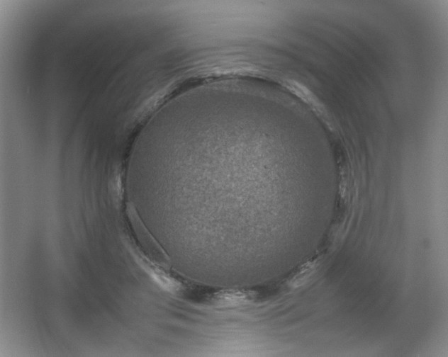 X0000067500405200604071231