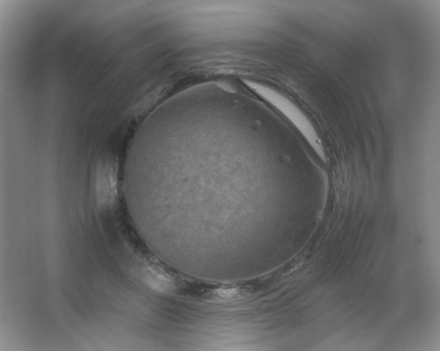 X0000067500406200604071231