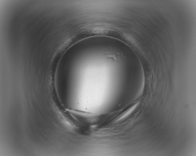 X0000067500407200604071231