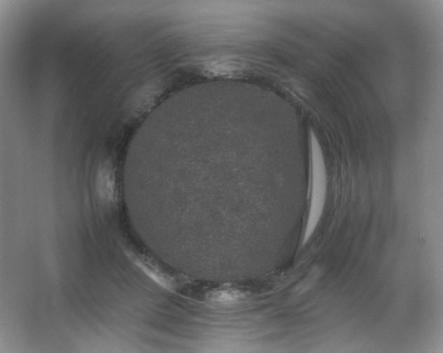 X0000067500408200604071231