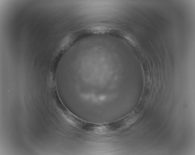 X0000067500411200604071231