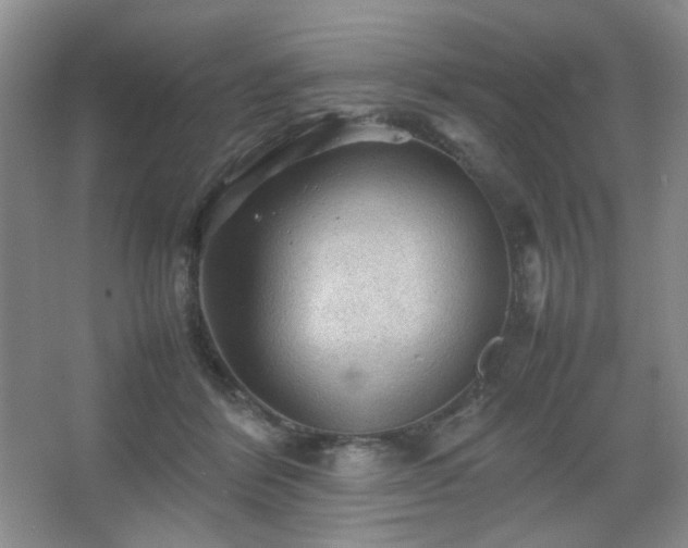 X0000067500412200604071231