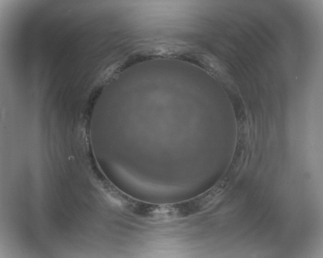 X0000067500415200604071231