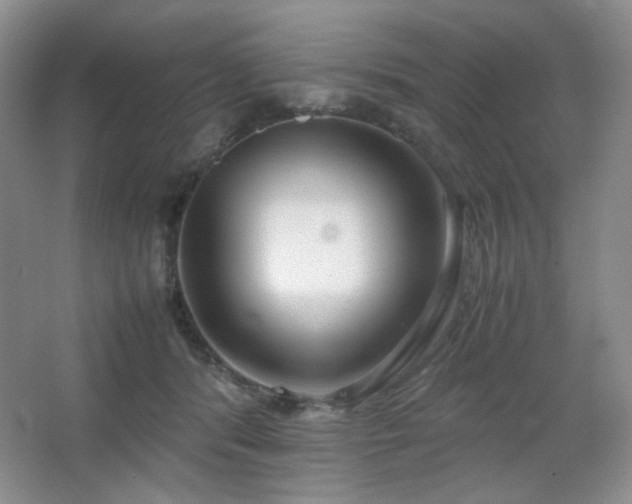 X0000067500416200604071231