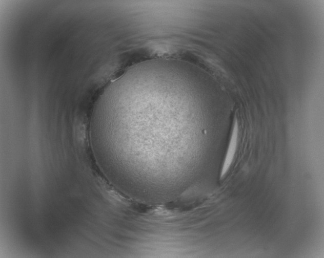 X0000067500417200604071231