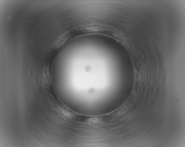 X0000067500418200604071231