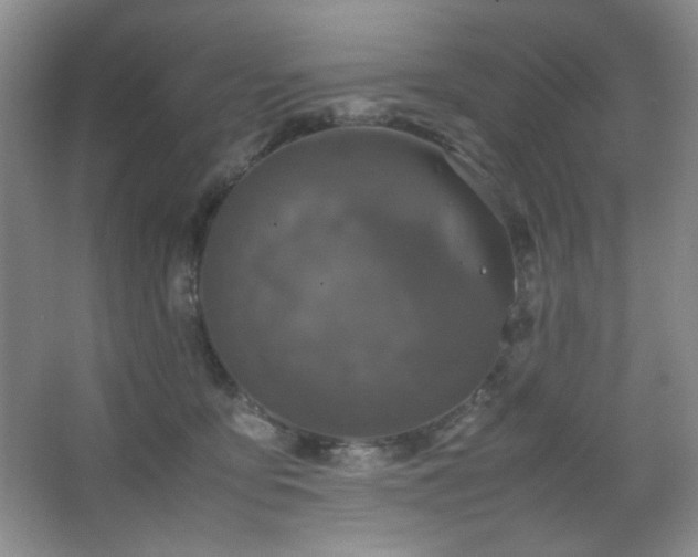 X0000067500419200604071231