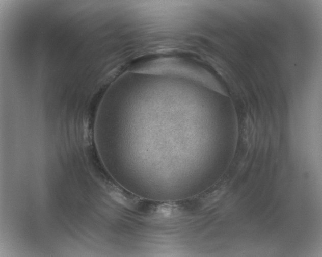 X0000067500420200604071231