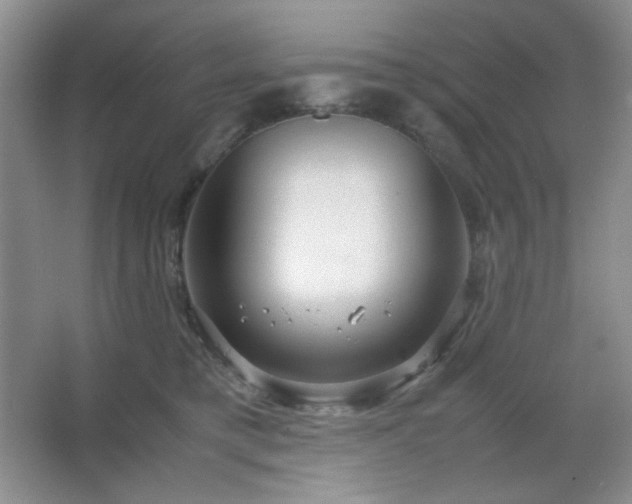 X0000067500421200604071231