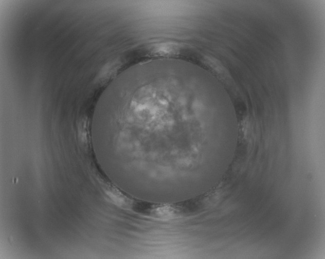 X0000067500423200604071231