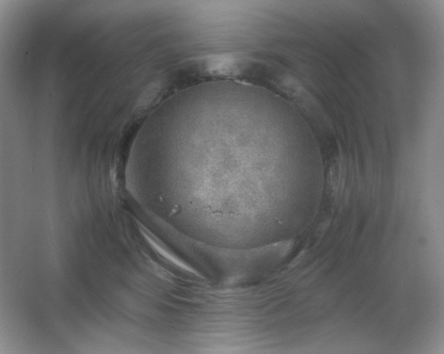 X0000067500424200604071231