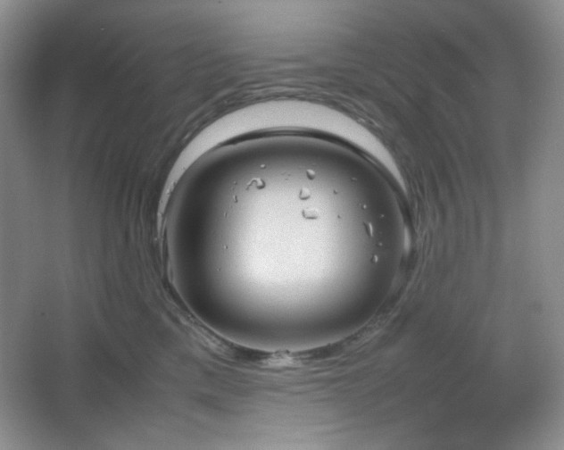 X0000067500425200604071231