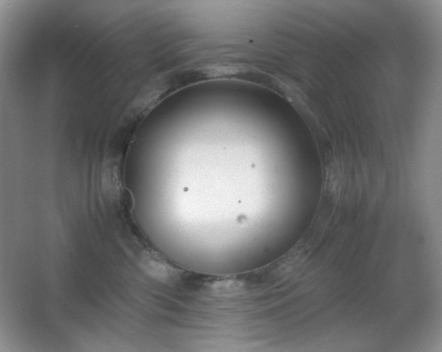 X0000067500426200604071231