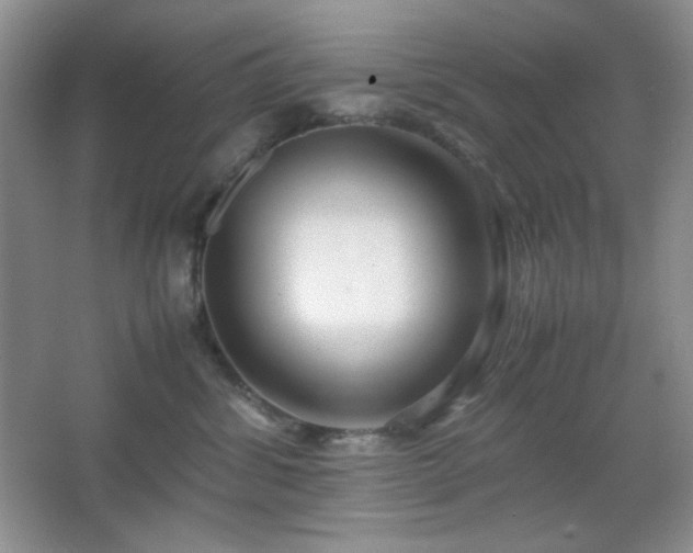 X0000067500428200604071231