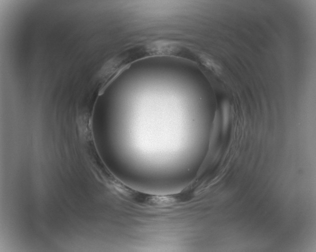 X0000067500429200604071231