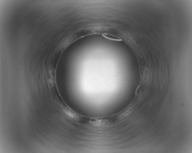 X0000067500430200604071231