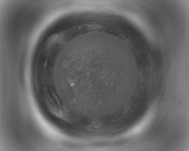 X0000067500431200604071231