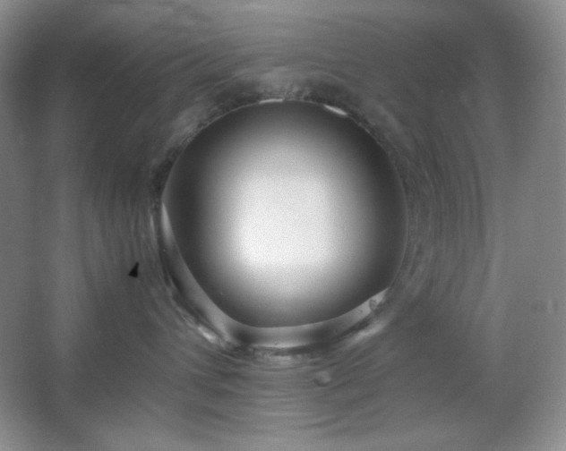 X0000067500432200604071231