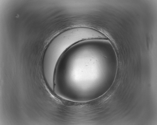 X0000067500433200604071230