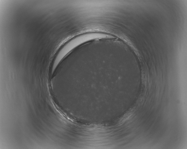 X0000067500434200604071230