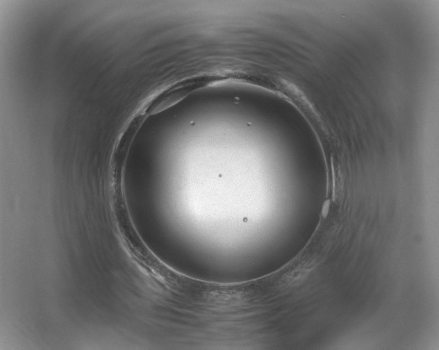 X0000067500435200604071230