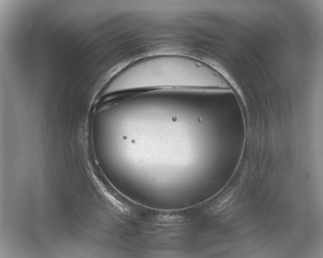 X0000067500437200604071230