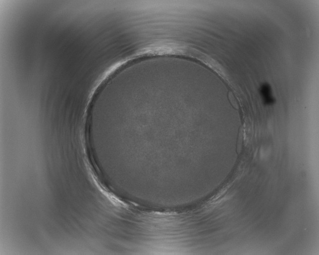 X0000067500438200604071230