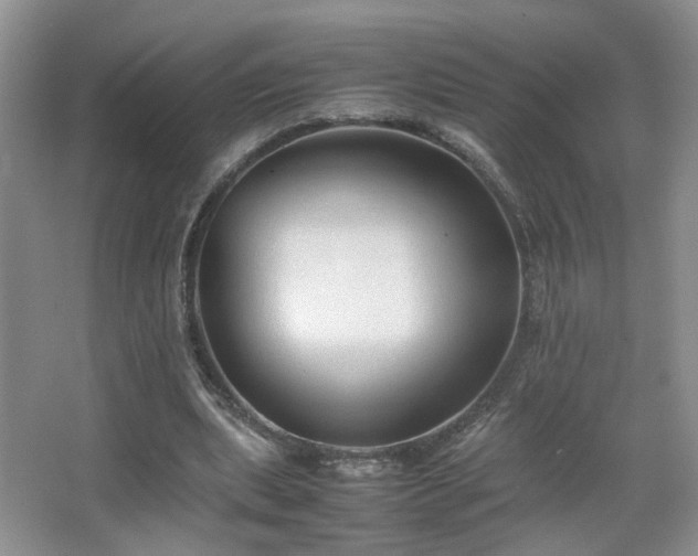 X0000067500439200604071230