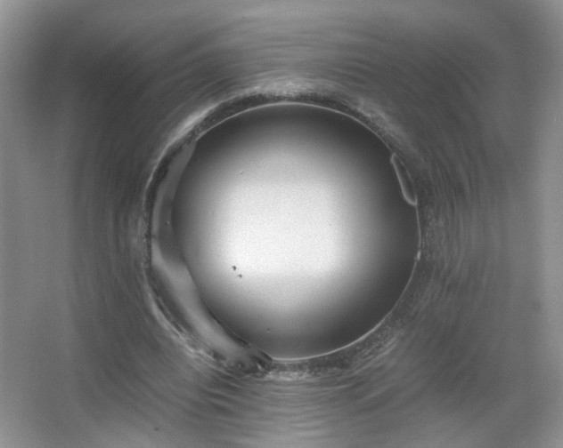 X0000067500440200604071230