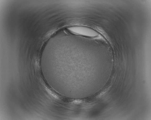 X0000067500441200604071230