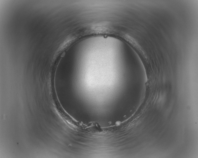 X0000067500442200604071230