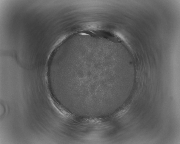 X0000067500443200604071230