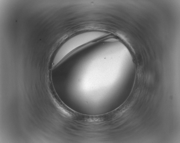 X0000067500445200604071230