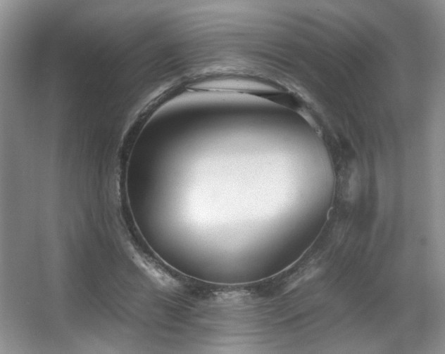 X0000067500446200604071230