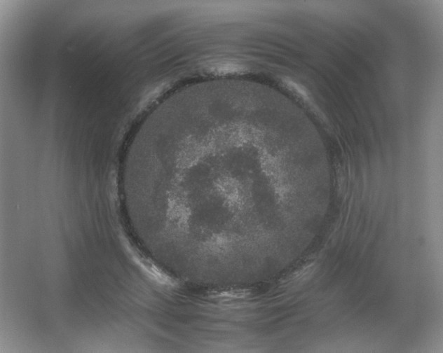 X0000067500447200604071230