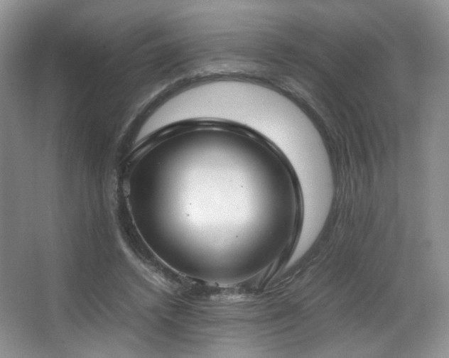 X0000067500448200604071230