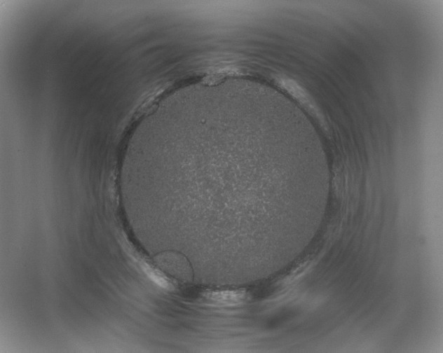 X0000067500449200604071230