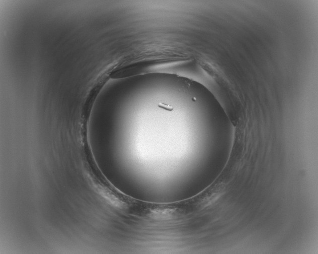 X0000067500450200604071230