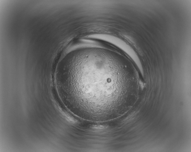 X0000067500453200604071230