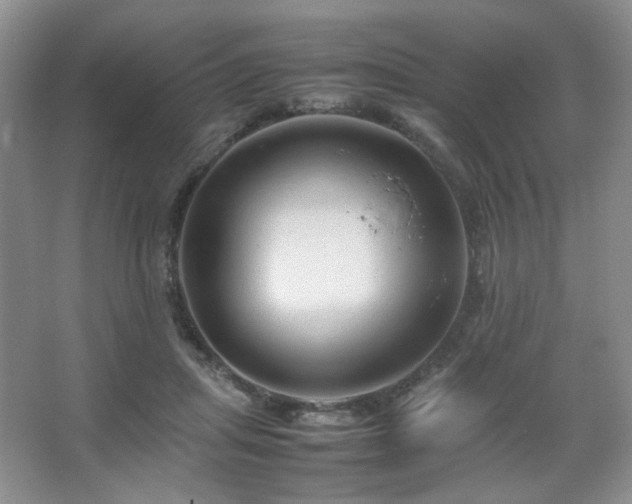 X0000067500455200604071230