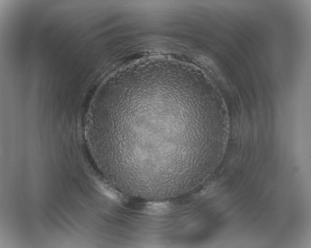 X0000067500457200604071231