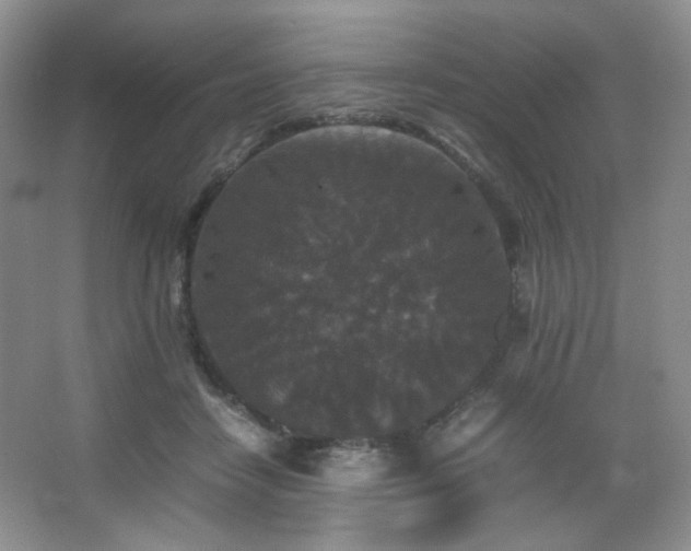 X0000067500458200604071231