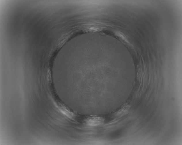 X0000067500459200604071231