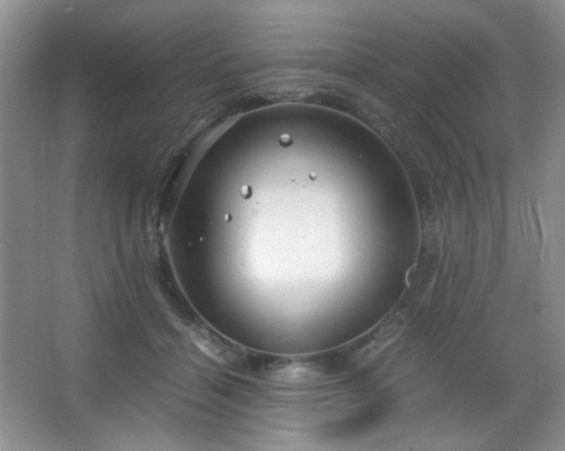 X0000067500460200604071231