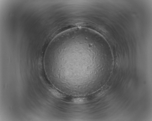 X0000067500461200604071231