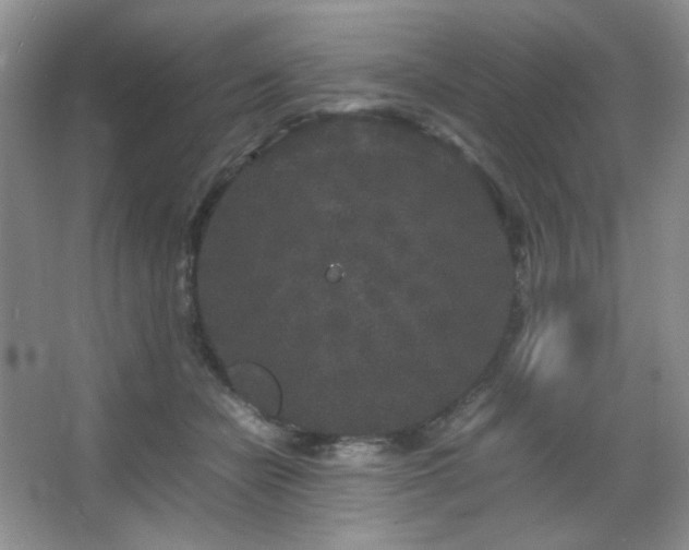 X0000067500462200604071231