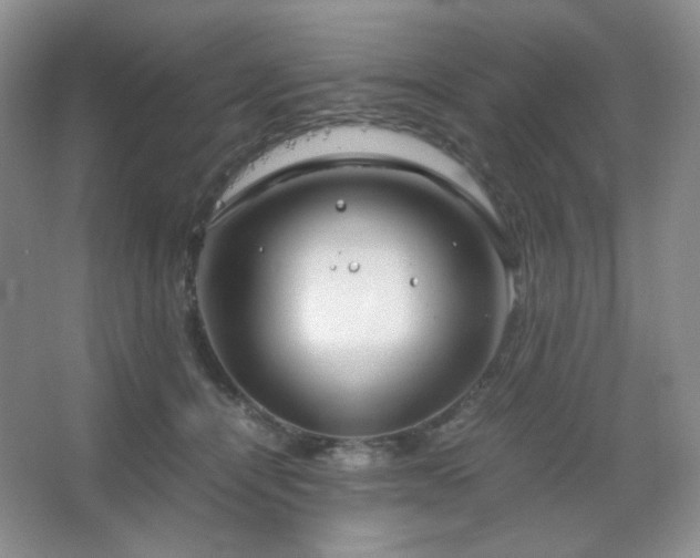 X0000067500464200604071231