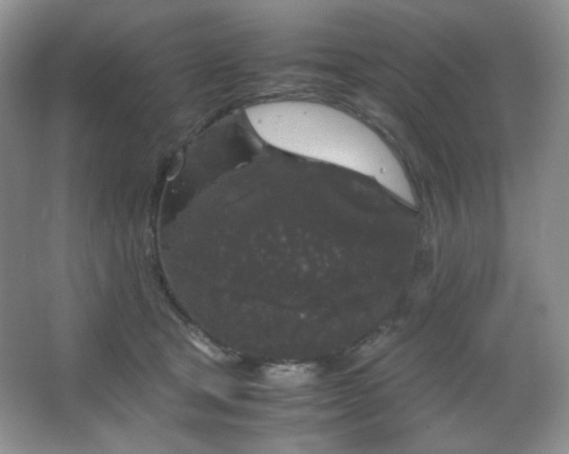 X0000067500465200604071231